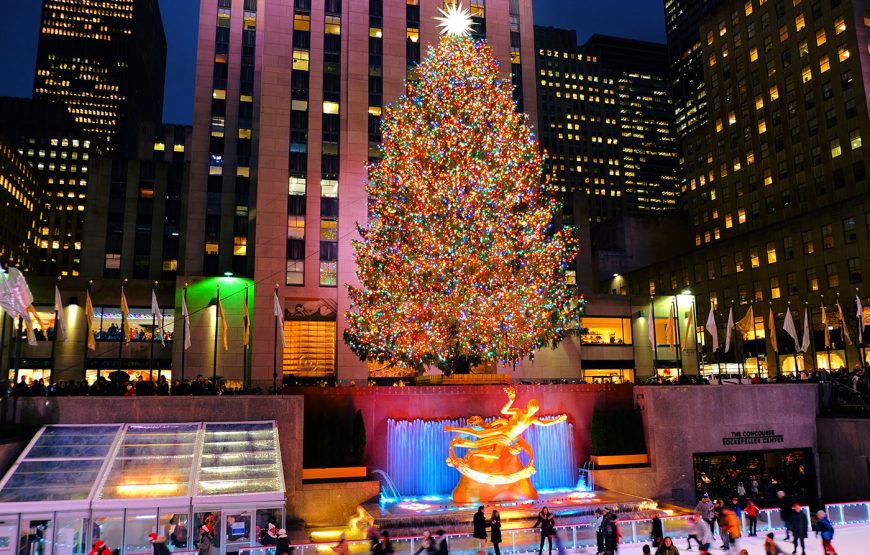 LUCES DE NAVIDAD NYC – Privado