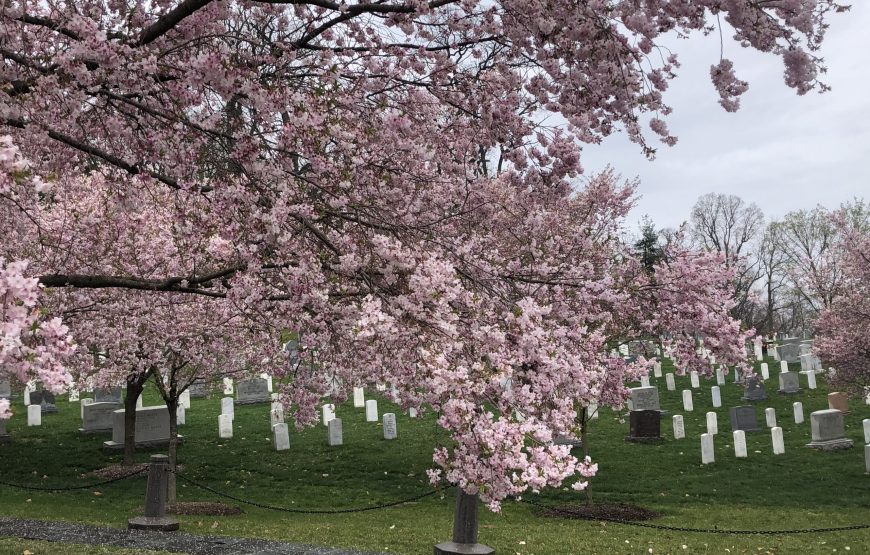 TOUR WASHINGTON D.C – Regular