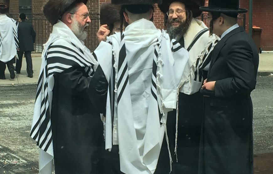 CONTRASTES DE NUEVA YORK – Regular