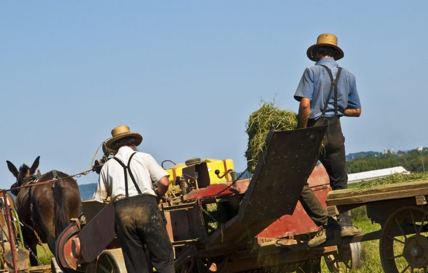 FILADELFIA + AMISH DESDE NUEVA YORK – Privado