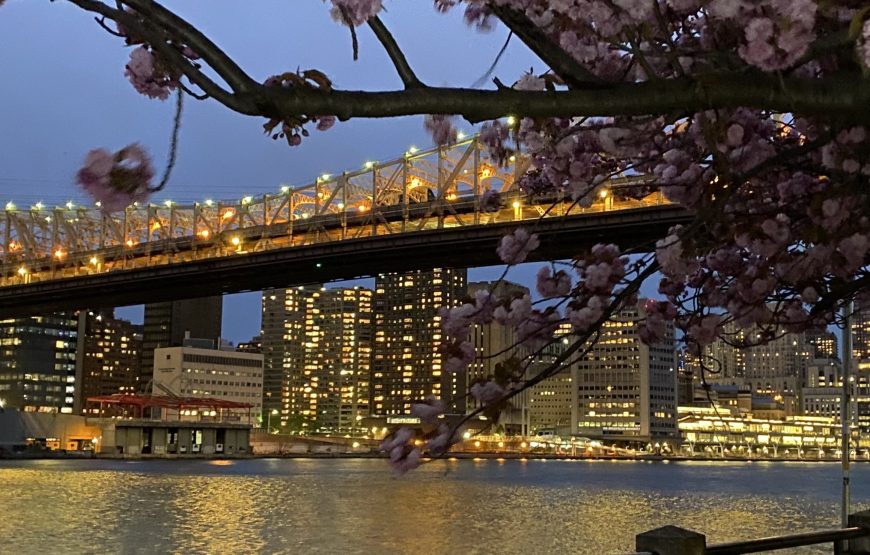 TOUR NOCTURNO EN NUEVA YORK – Regular